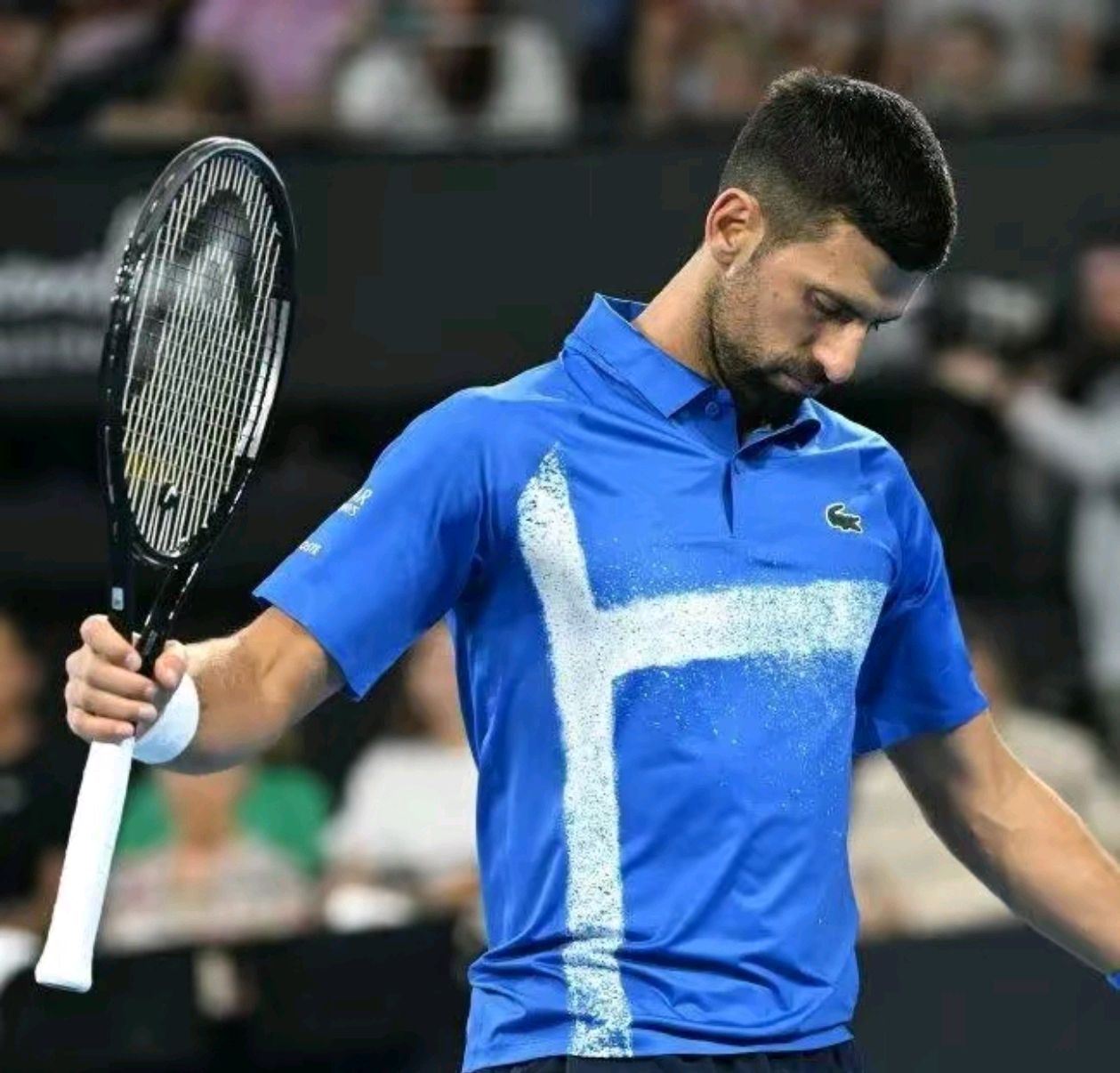 英国网球队险胜澳大利亚网球队，德约科维奇惊艳世界的简单介绍