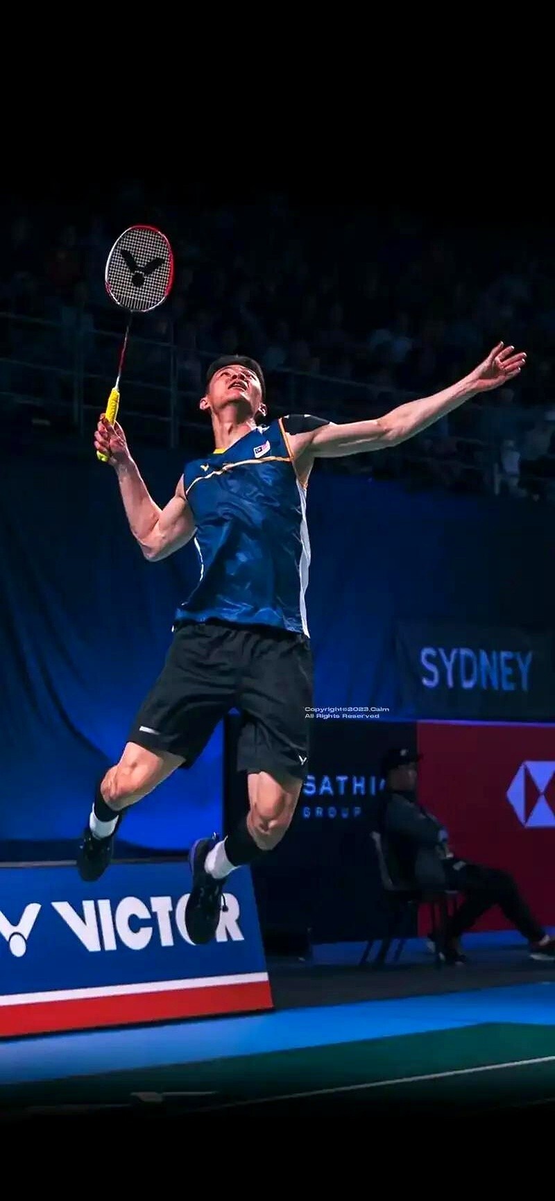 马来西亚羽毛球队血洗韩国羽毛球队，戴资颖制霸全场的简单介绍