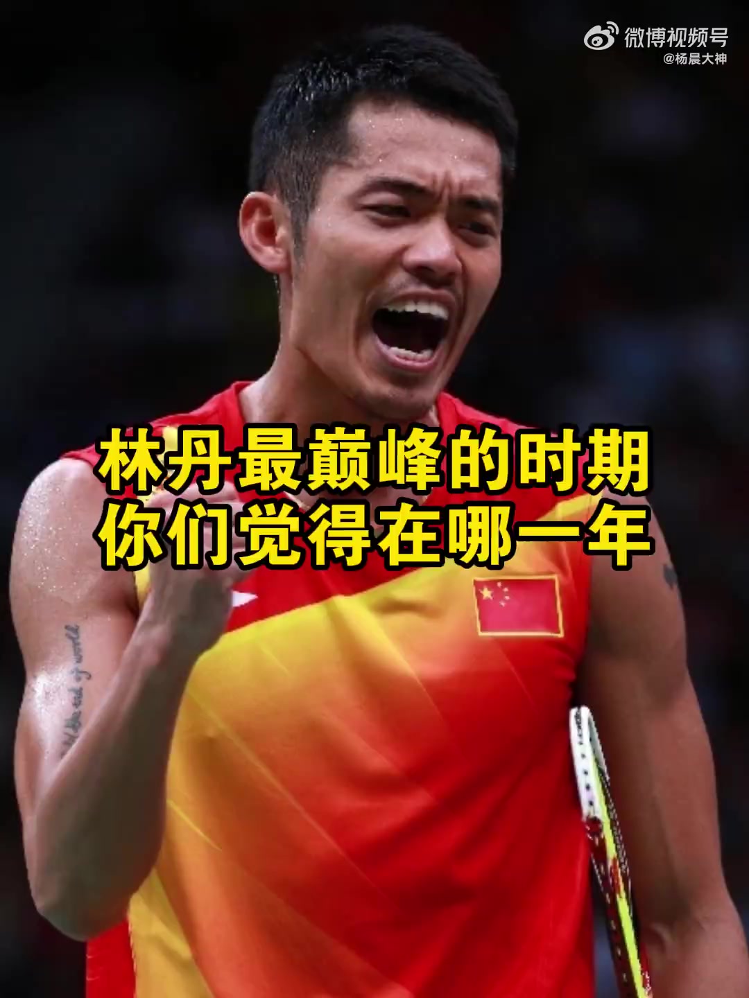 包含中国羽毛球队绝地反击韩国羽毛球队，林丹高光表现的词条