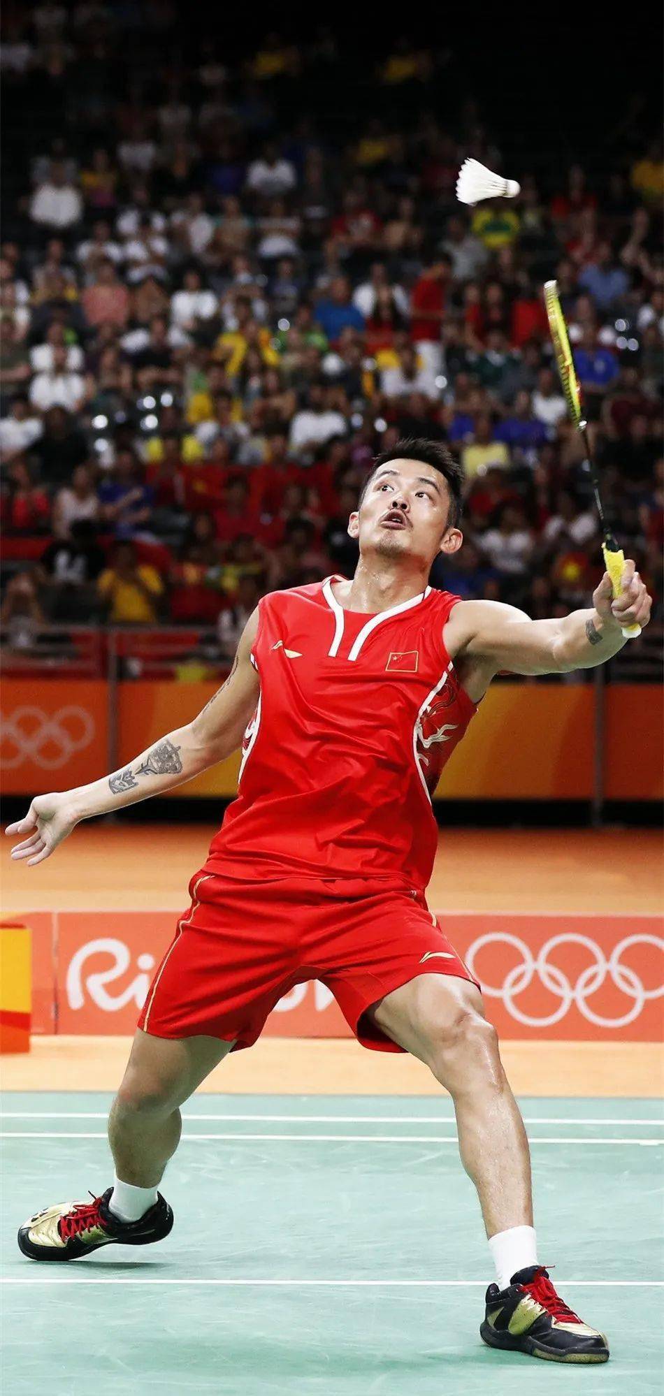 包含中国羽毛球队绝地反击韩国羽毛球队，林丹高光表现的词条