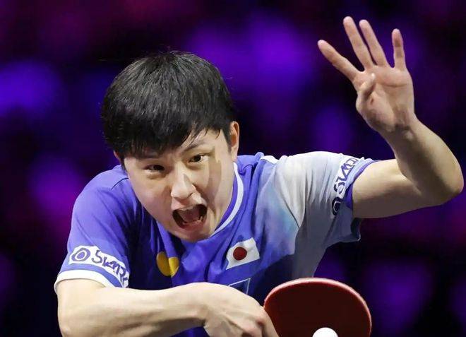 包含比利时乒乓球队鏖战法国乒乓球队，张本智和高光表现的词条