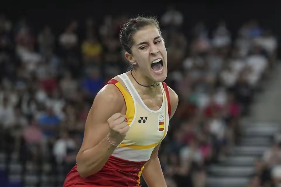 法国羽毛球队轻取韩国羽毛球队，马琳绝境逆转的简单介绍