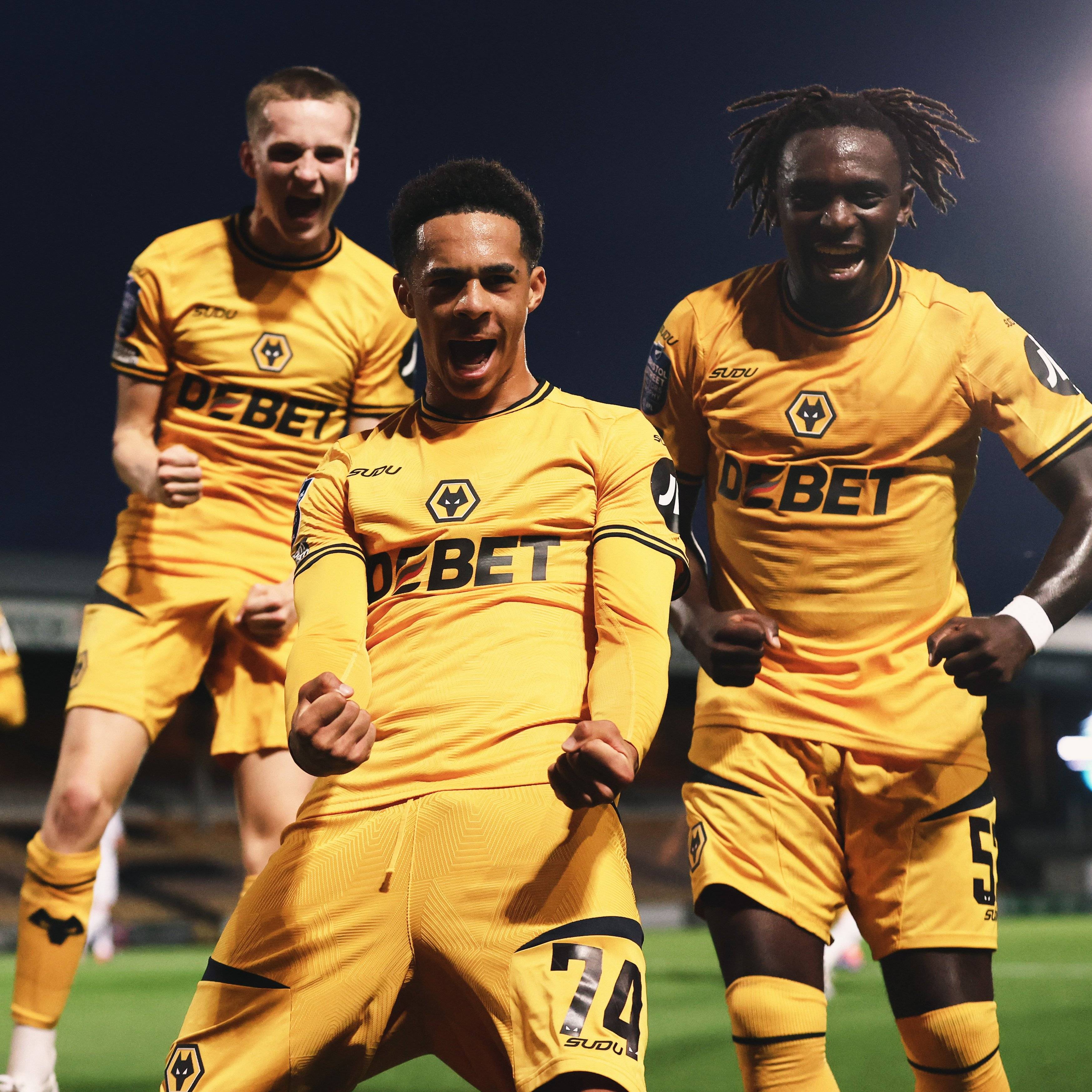 狼队主场击败西汉姆，英超战绩大幅提升的简单介绍