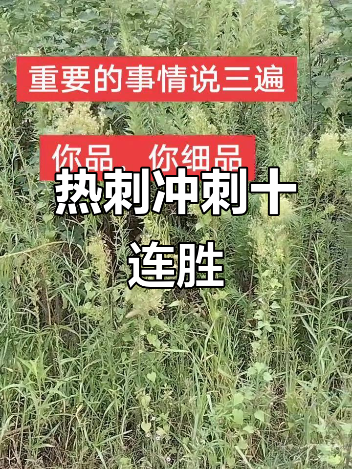 热刺球员成功挑战新海拔极限