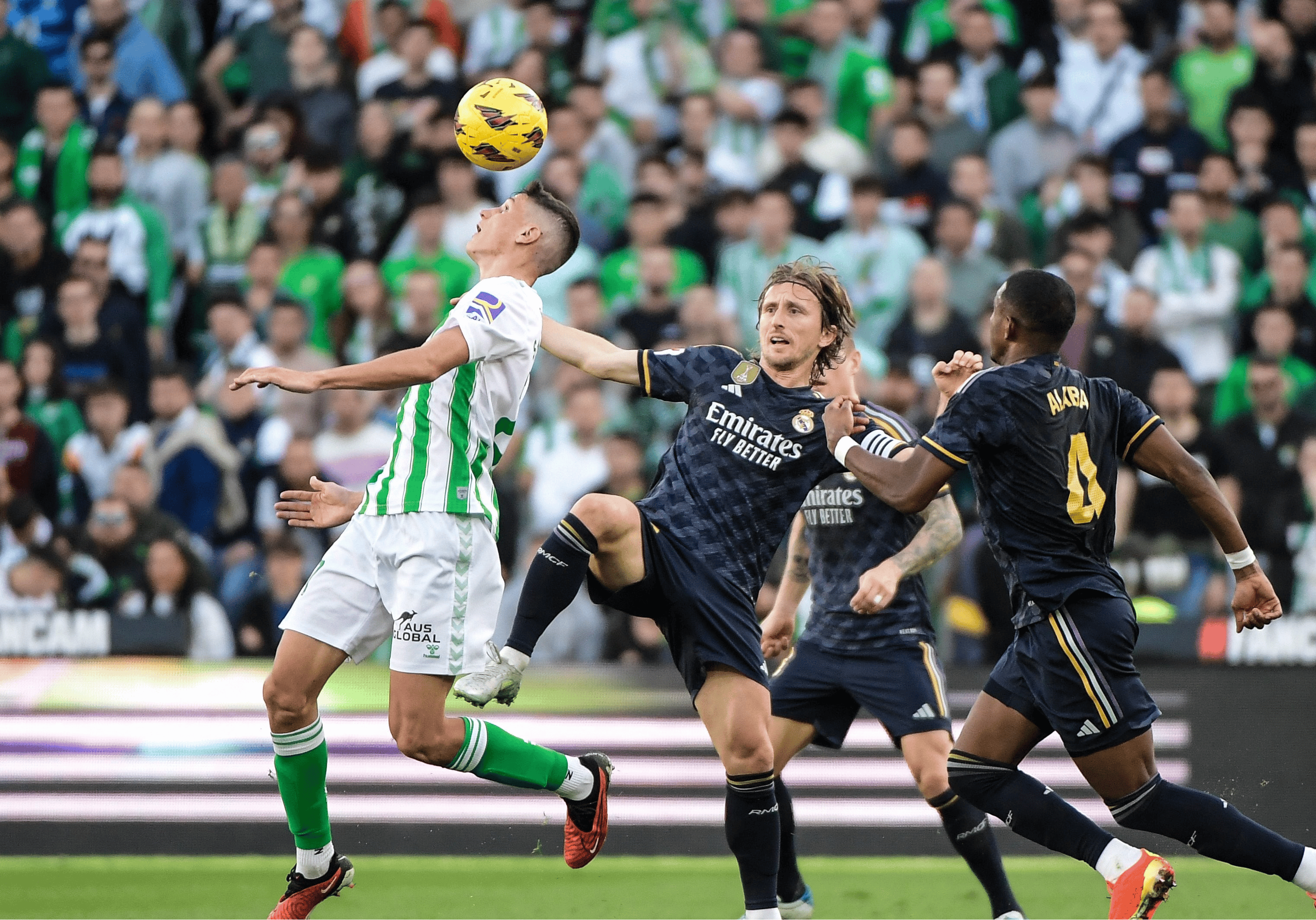 西班牙篮球联赛季后赛,马德里竞技实力出众的简单介绍 西班牙篮球联赛季后赛,马德里竞技实力出众的简单介绍