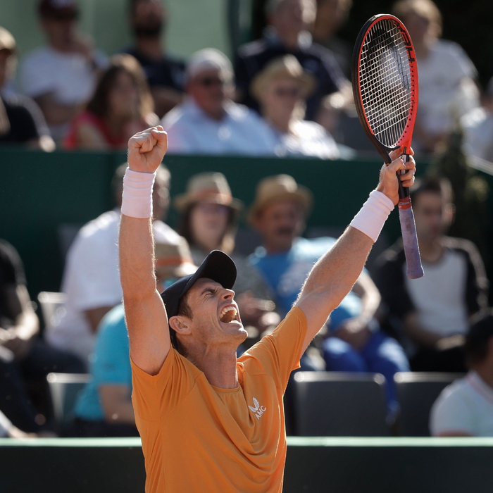 关于联合杯力克戴维斯杯，穆雷惊艳四座的信息