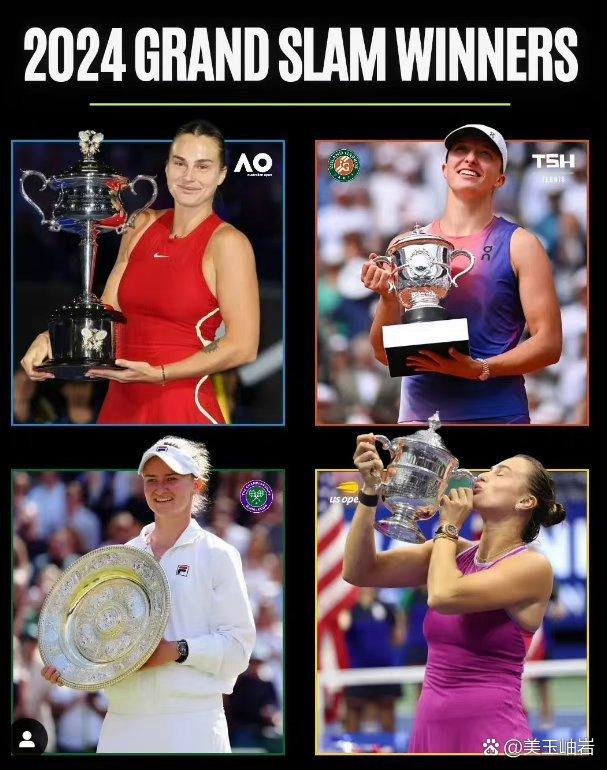 戴维斯杯逆转法网，穆雷惊艳四座