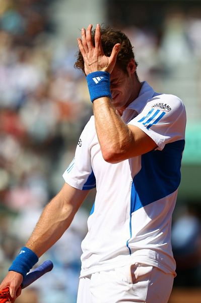 包含戴维斯杯逆转年终总决赛，穆雷状态火热的词条