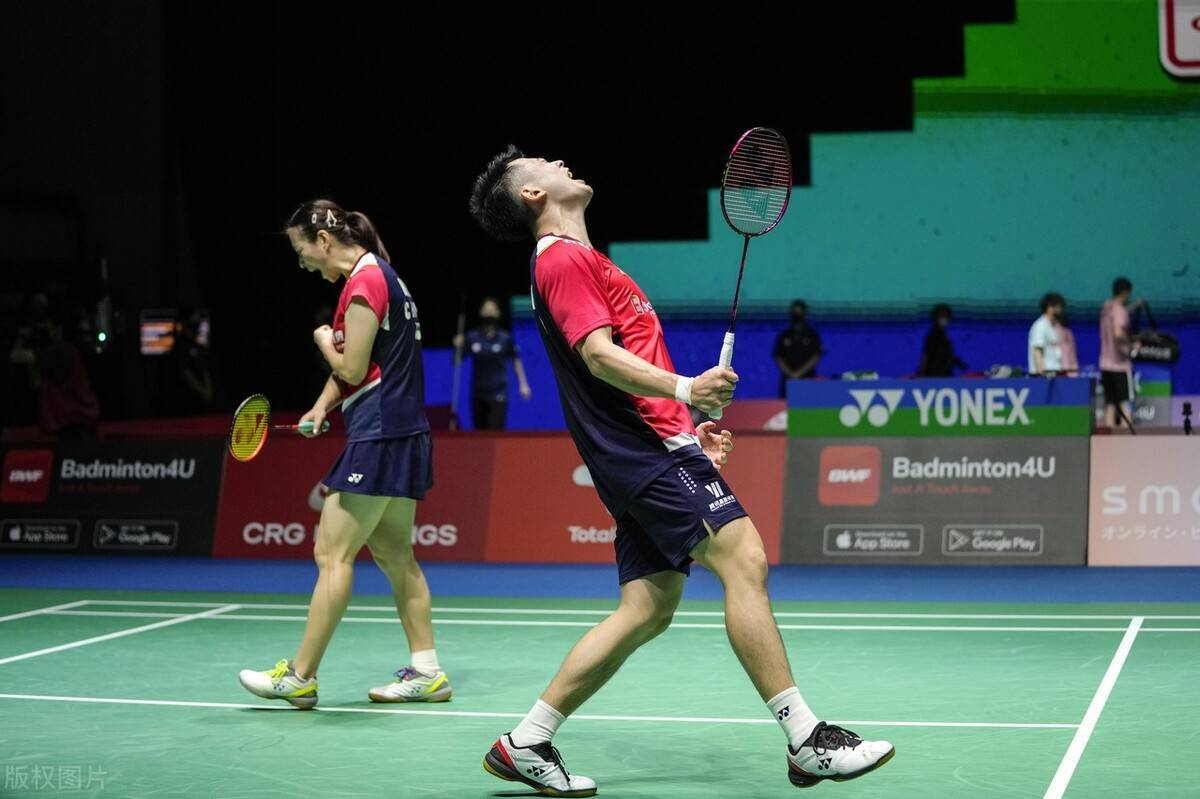 丹麦队力克德国队，郑思维高光表现的简单介绍