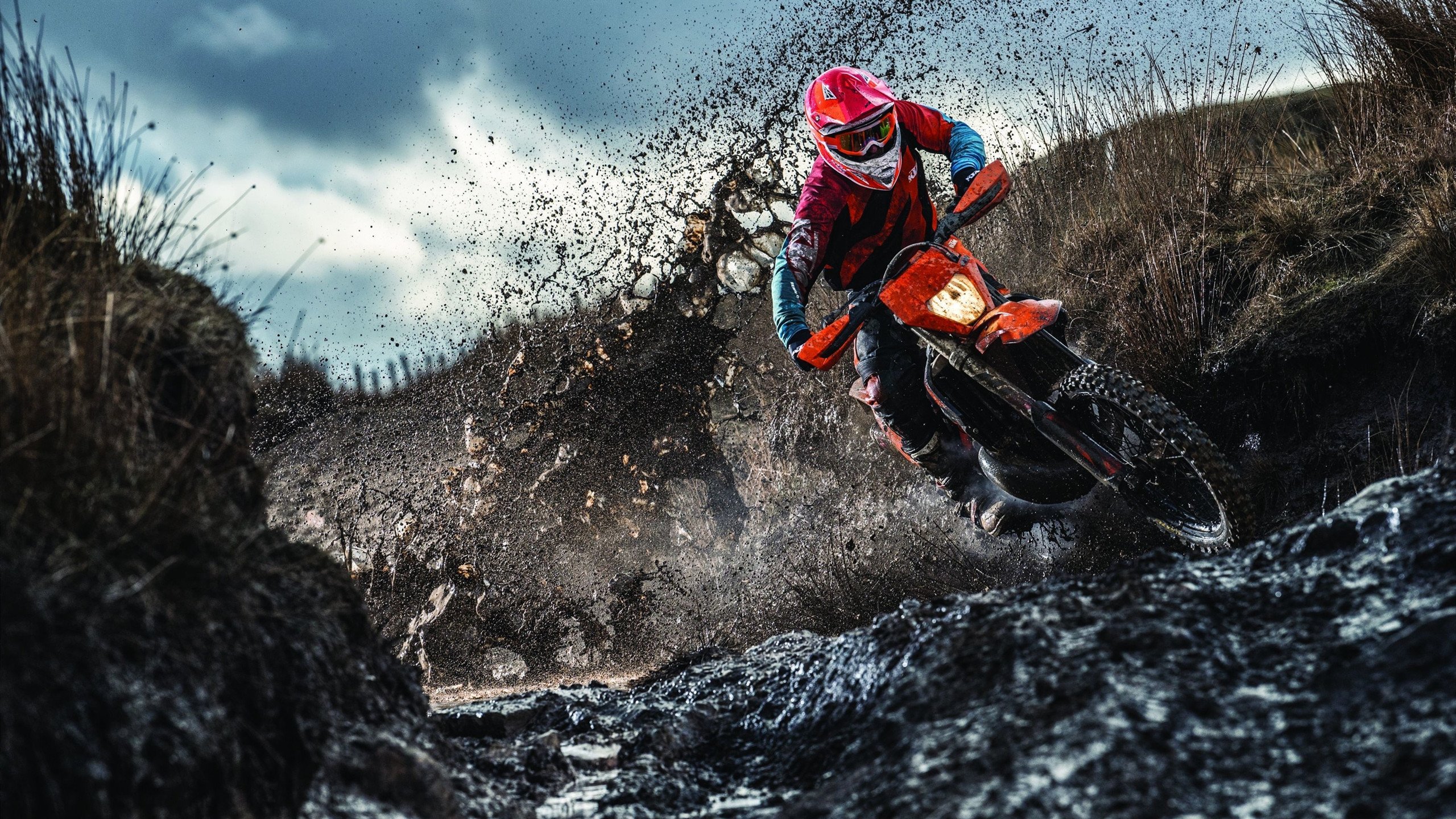 跨界收割，从篮球场到F1赛道的接管艺术